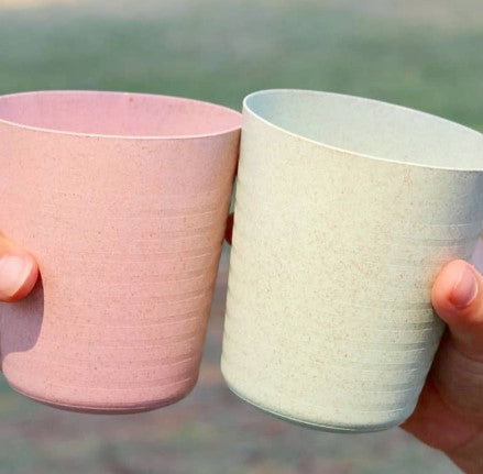 Wheat Straw Cups
